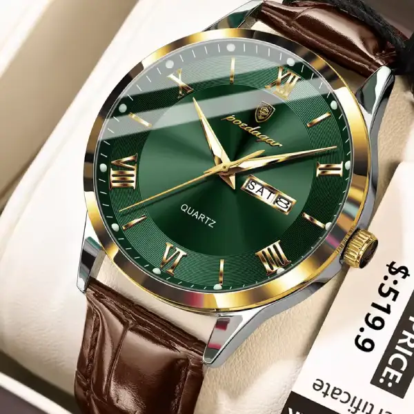 POEDAGAR 978L Luxury Men's Watch