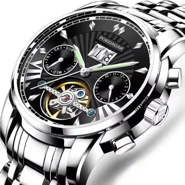 POEDAGAR 1401 Men's Watch