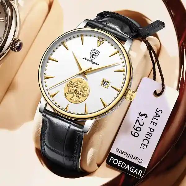 POEDAGAR 151 Automatic Mechanical Men's Watch