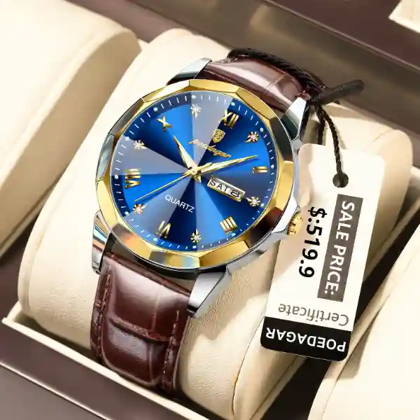 POEDAGAR 810 Men's Watch
